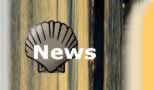 New News!