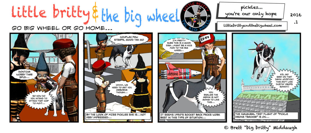 2016-1-pickles-youre-our-only-hope